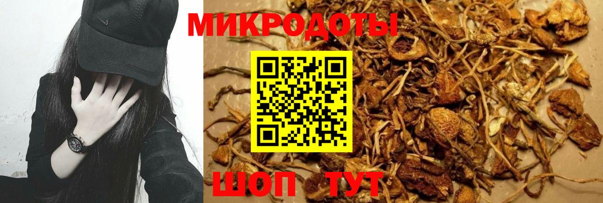 Чебаркуль  Псилоцибиновые грибы Magic Shrooms  Вход с VPN  Галлюциногенные грибы Psilocybe 